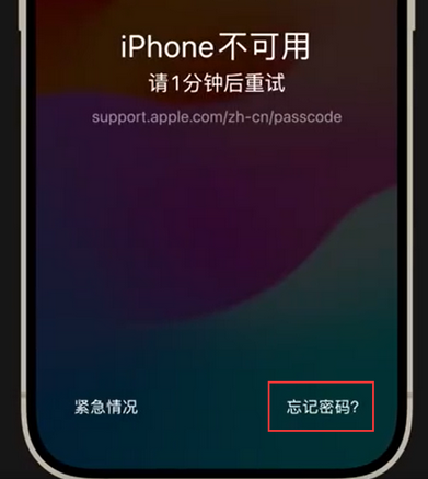 融水苹果手机密码维修分享iPhone忘记了刚设置的密码 
