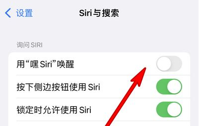 融水苹果13维修分享iPhone 13怎么唤醒 Siri  