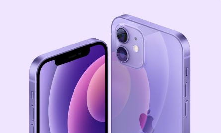 融水苹果手机维修分享紫色版iPhone 12有什么技术亮点 